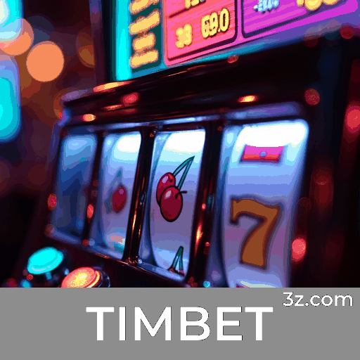 Explore TIMBET: Excelência em Serviços Profissionais e Segurança
